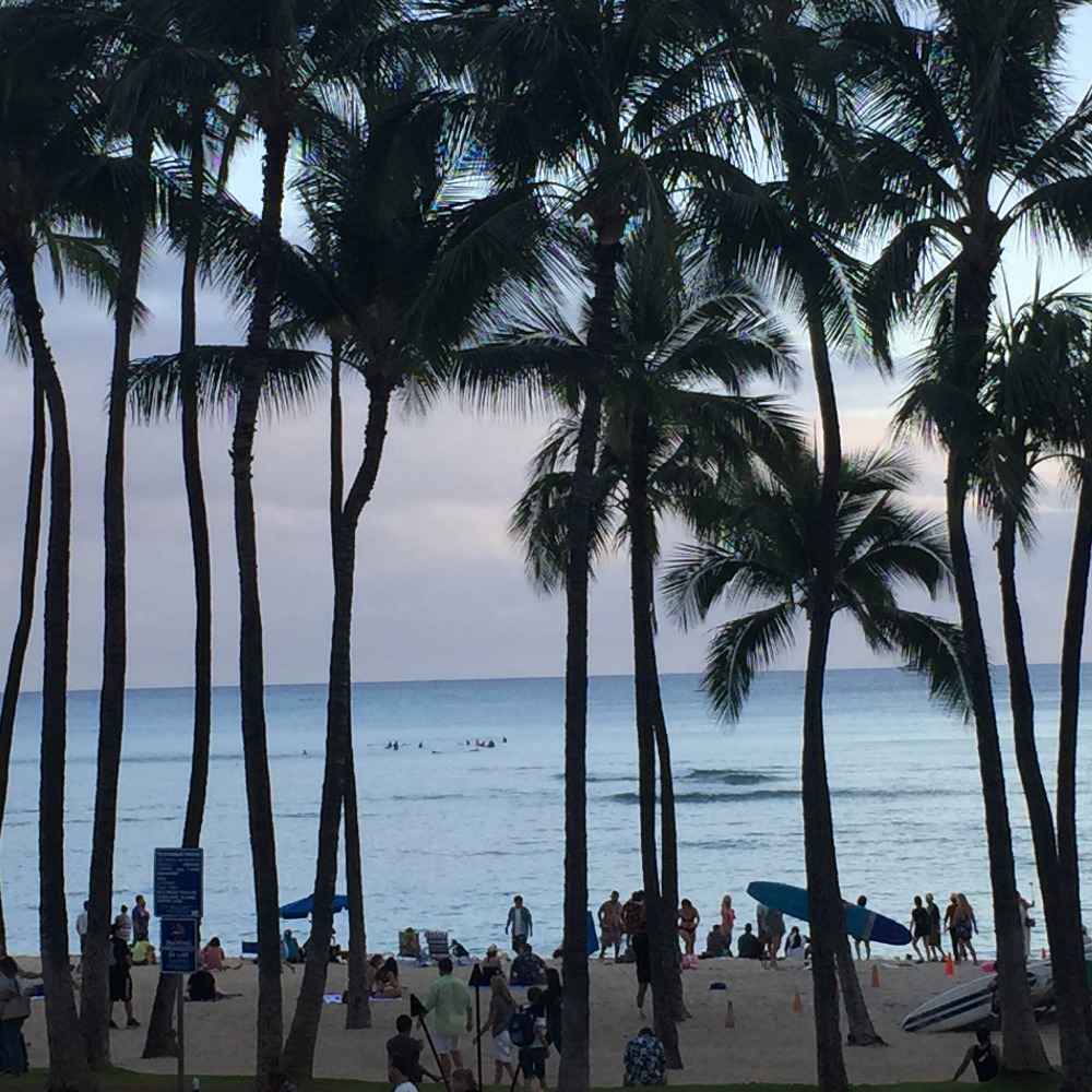 Meet your Posher, Ryaneric